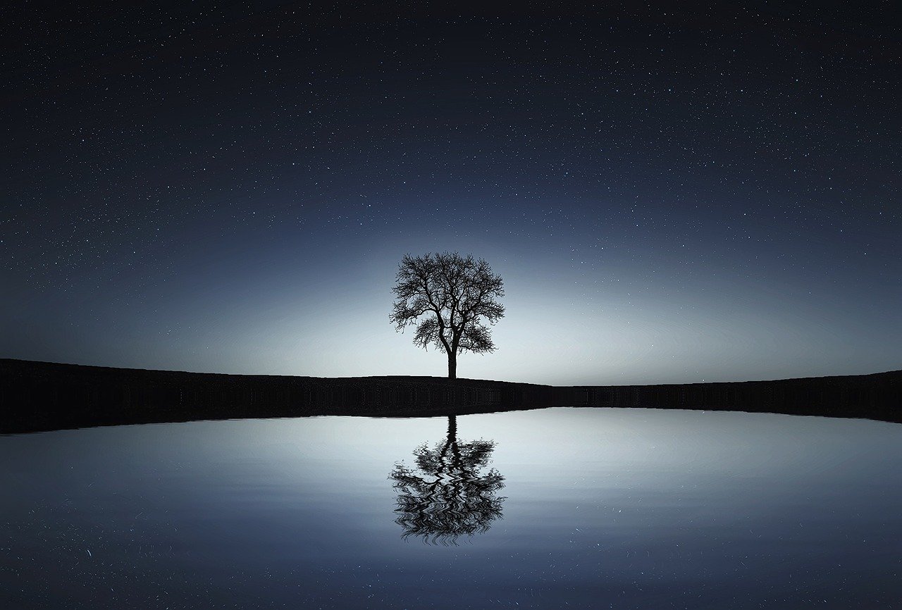 tree-736881 1280