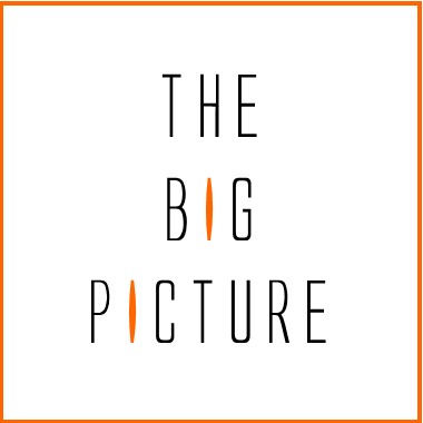 The Big Picture LOGO